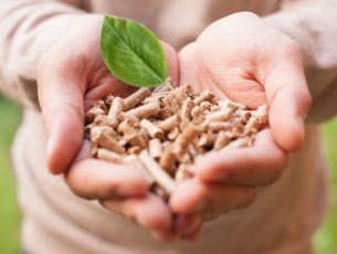 Kansainvälistä kiinnostusta suomalaiseen biojalostusteollisuuteen